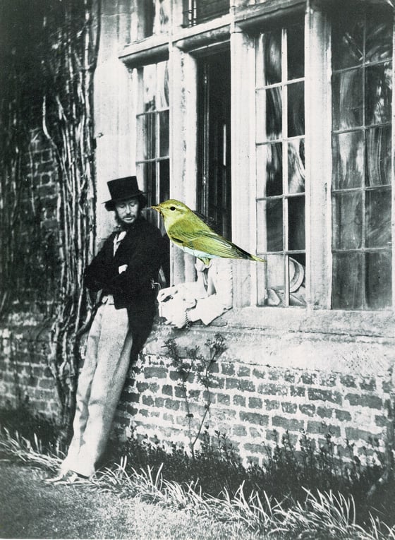 Image of Learning To Listen: A different kind of love story