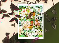 Image 4 of Spring Robin- A4 or A5 Art Print