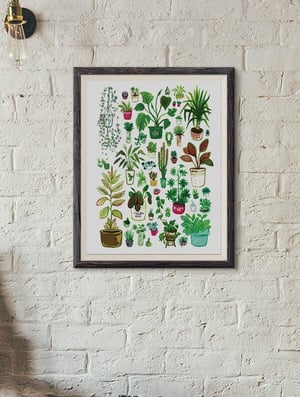 All my Houseplants: A3 or A4 Art Print