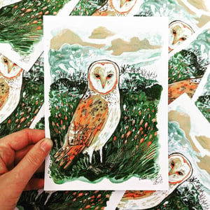 Barn Owl- A5 Birds Art Print