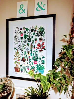 All my Houseplants: A3 or A4 Art Print