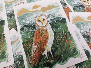 Barn Owl- A5 Birds Art Print