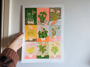 Geranium Colour- RISO A3 or A4 Art Print