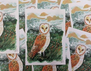 Barn Owl- A5 Birds Art Print