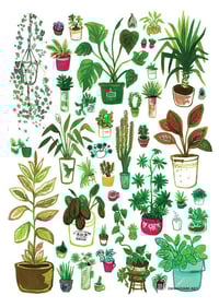 Image 3 of All my Houseplants: A4 digital or A3 riso Art Print