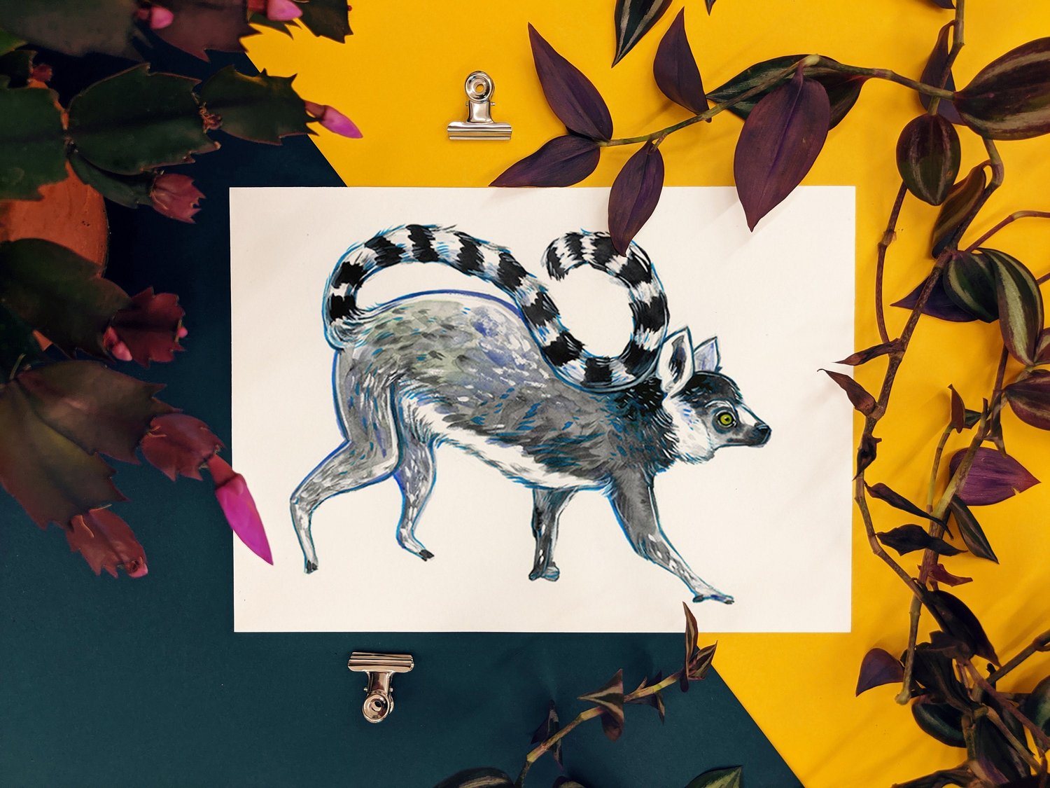 Lemur time- A4 Art Print- Ring Tail