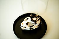 Image 2 of Crystallized Skull Chat #9