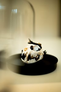 Image 3 of Crystallized Skull Chat #9