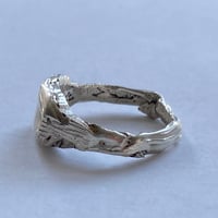 Image 3 of Siggy Staple