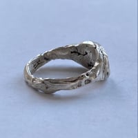 Image 4 of Siggy Staple