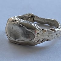 Image 5 of Siggy Staple