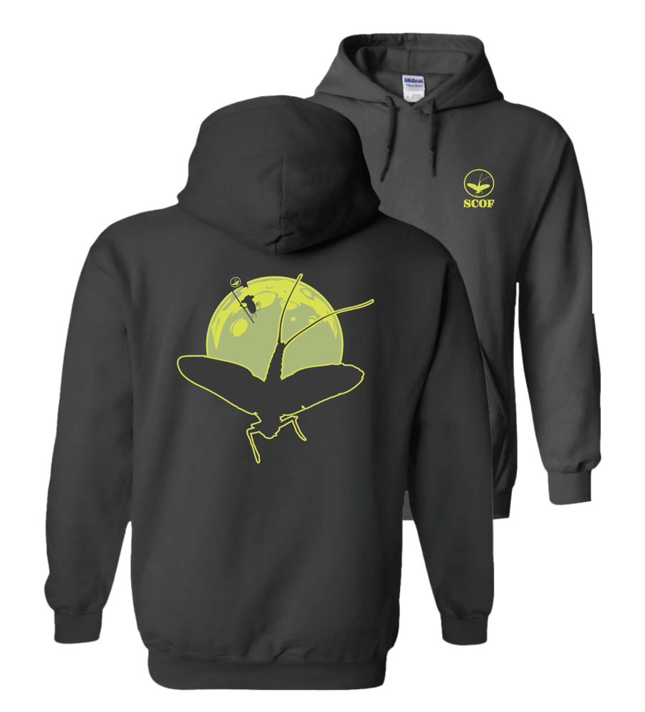 Image of MOONSHOT HOODIE