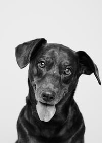 Image 5 of SATURDAY  DECEMBER 6th - PERSONALITY PANELS