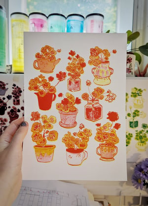 Geranium Pots A4 3 or 2 Colour Risograph Print.