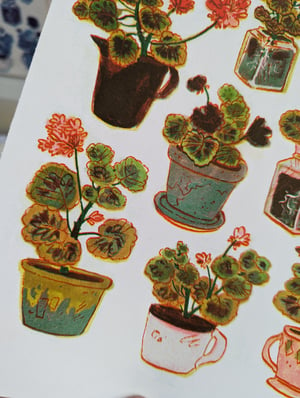 Geranium Pots A4 3 or 2 Colour Risograph Print.