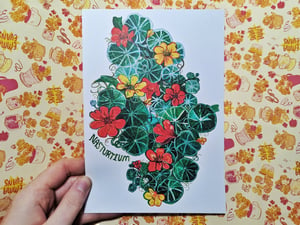 Painted Nasturtiums Garden- A5 or A3 print