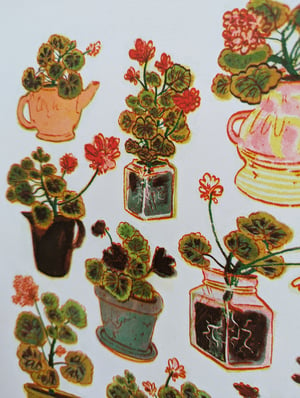 Geranium Pots A4 3 or 2 Colour Risograph Print.