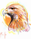 Golden eagle print- At A4 and A5