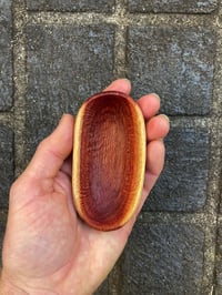 Image 5 of Grevillea Small Bowl