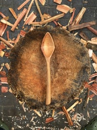 Image 1 of Banksia Eating Spoon 3