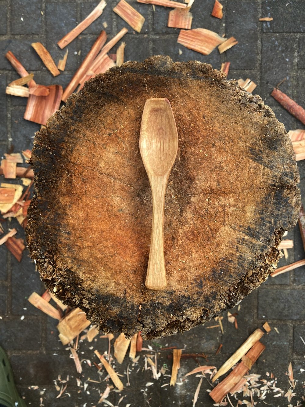 Image of She Oak Eating Spoon 3