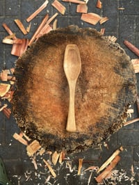 Image 1 of She Oak Eating Spoon 3