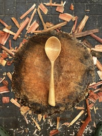 Image 1 of Jacaranda Eating Spoon