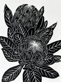 Image 2 of King Protea Lino Print