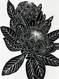 Image 3 of King Protea Lino Print