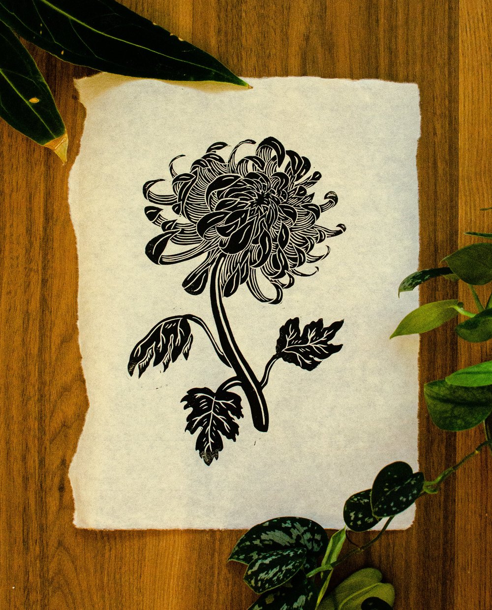 Chrysanthemum Blockprint (black)