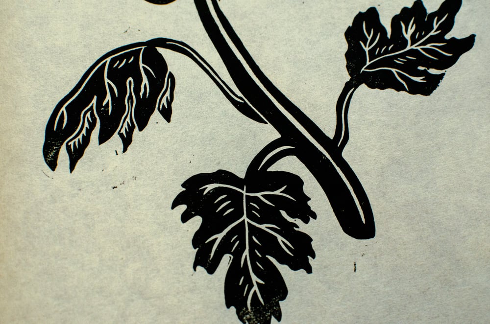 Chrysanthemum Blockprint (black)