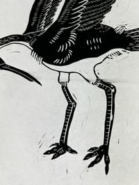 Image 4 of Flying Crane Print