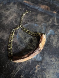 Image 3 of Rib bone bracelet : real bone, taxidermy, bracelet.