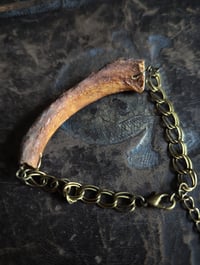 Image 2 of Rib bone bracelet : real bone, taxidermy, bracelet.