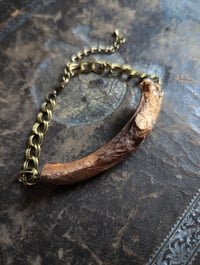 Image 1 of Rib bone bracelet : real bone, taxidermy, bracelet.