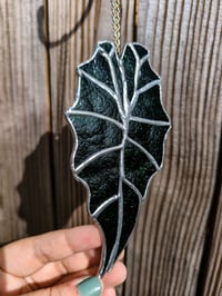 Image 1 of Aventurine Alocasia