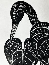Image 2 of Crane and Magnificum Lino Print