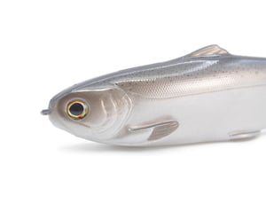 Image of Tyrant 10 ( DEADBEAT )