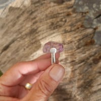 Image 3 of Ametrine Touch, US 9