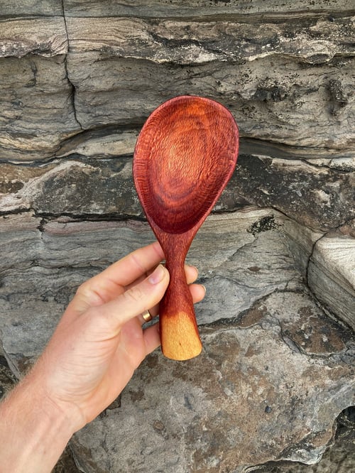 Image of Grevillea Scoop