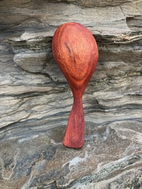 Image 3 of Grevillea Scoop