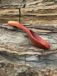 Image 1 of Grevillea Scoop