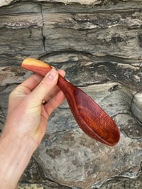Image 4 of Grevillea Scoop