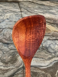 Image 4 of Grevillea Eating Spoon