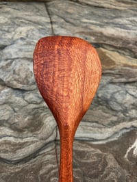 Image 5 of Grevillea Eating Spoon