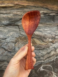Image 2 of Grevillea Eating Spoon