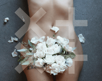 roses blanches 