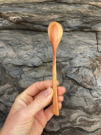 Image 2 of Banksia Teaspoon