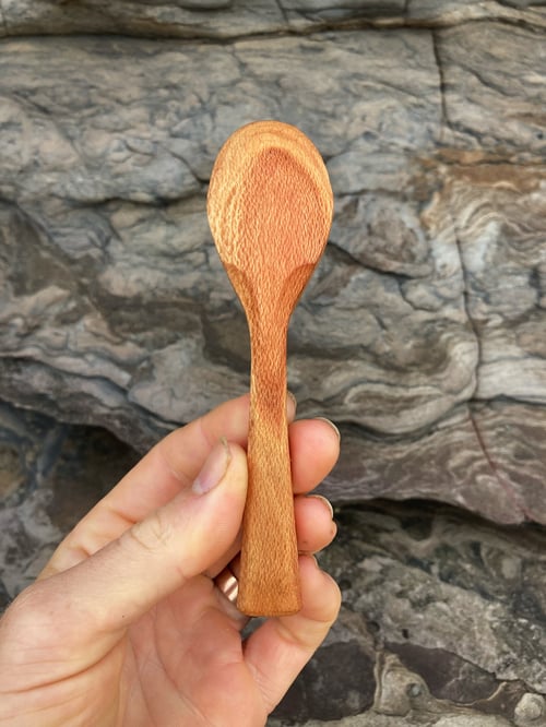 Image of Banksia Teaspoon 2