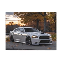 Image 2 of 2014 Dodge Charger SRT Canvas